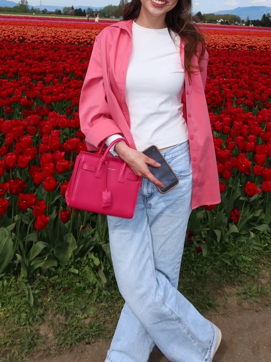 Saint Laurent Handbags - Saint Laurent Leather sac de jour pink